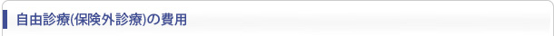 自由診療（保険外診療）の費用